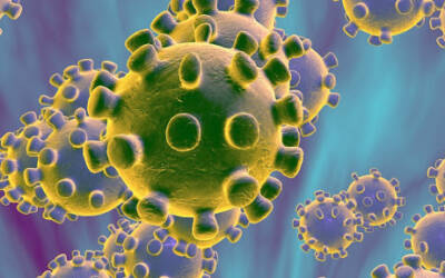 Informationen bezüglich der aktuellen Ausbreitung des Coronavirus