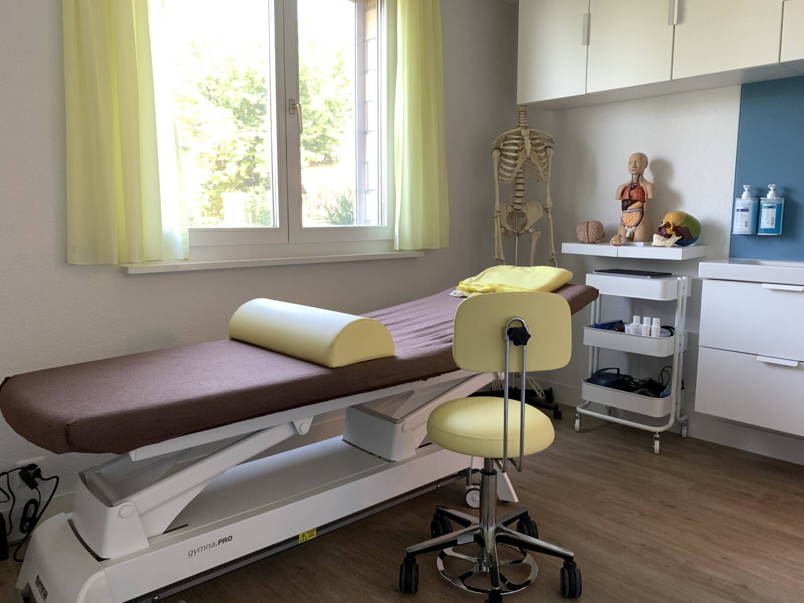 Werde Teil von Thera-Torso als selbstständige/r Dipl. Physiotherapeut/in für Beckenbodenphysiotherapie
