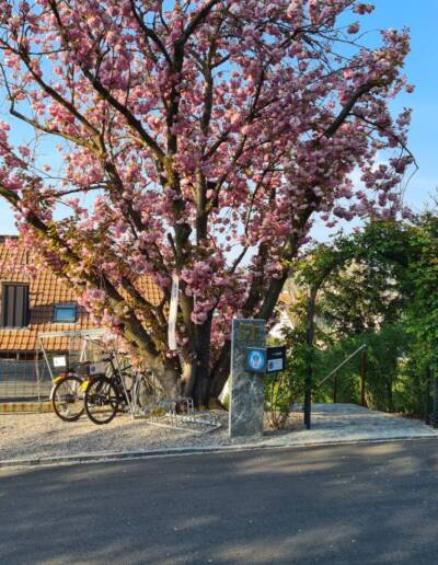 Gartenblick