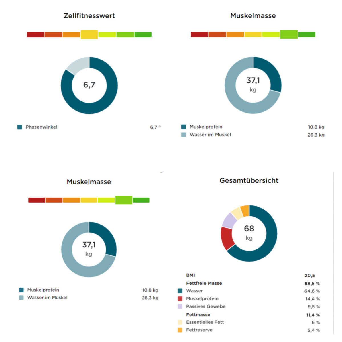 Entdecken Sie den neuen digitalen Gesundheits-Checkup bei Thera-Torso – ab 20. Oktober in Muttenz bei Basel