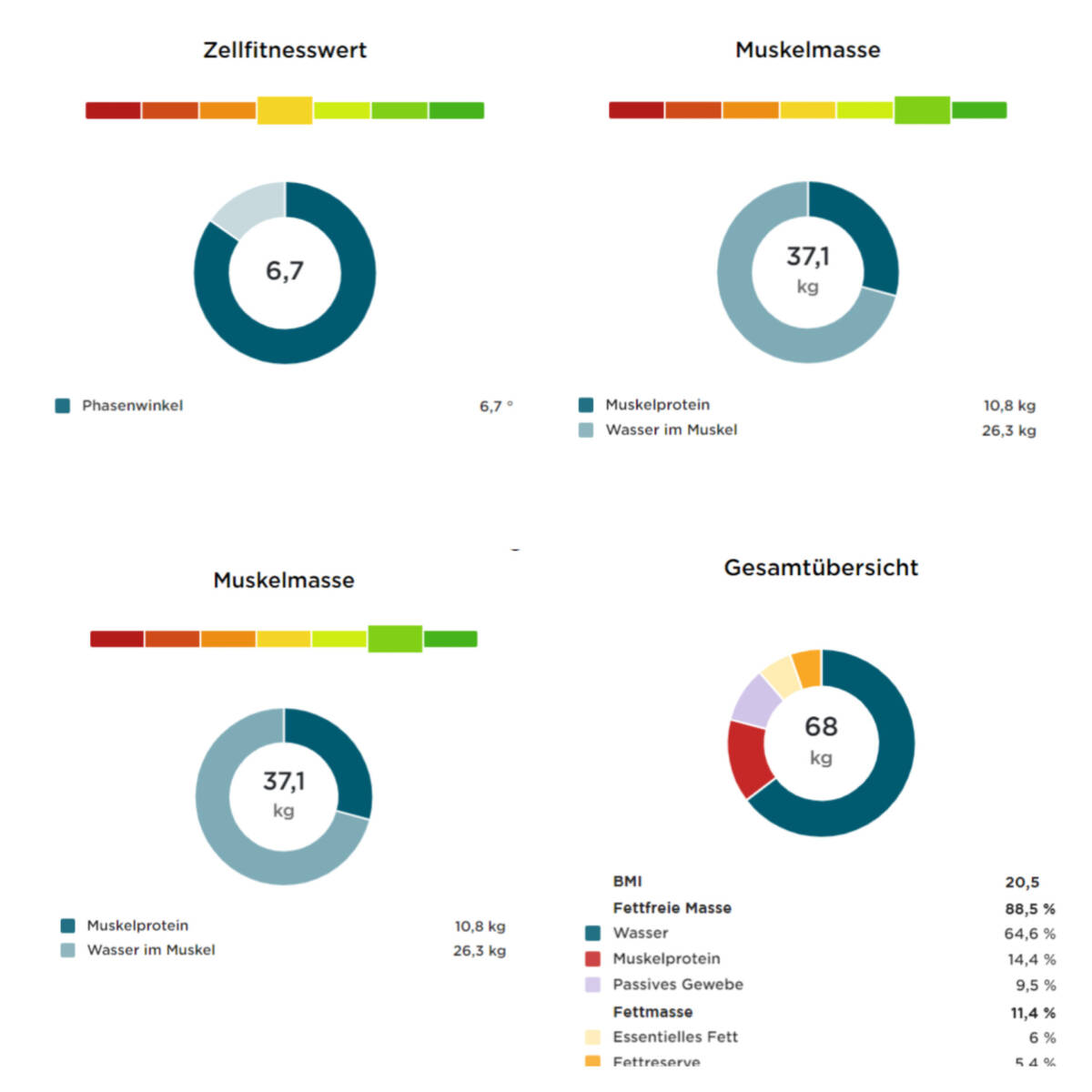 Gesundheits-Checkup mit Therapieempfehlung