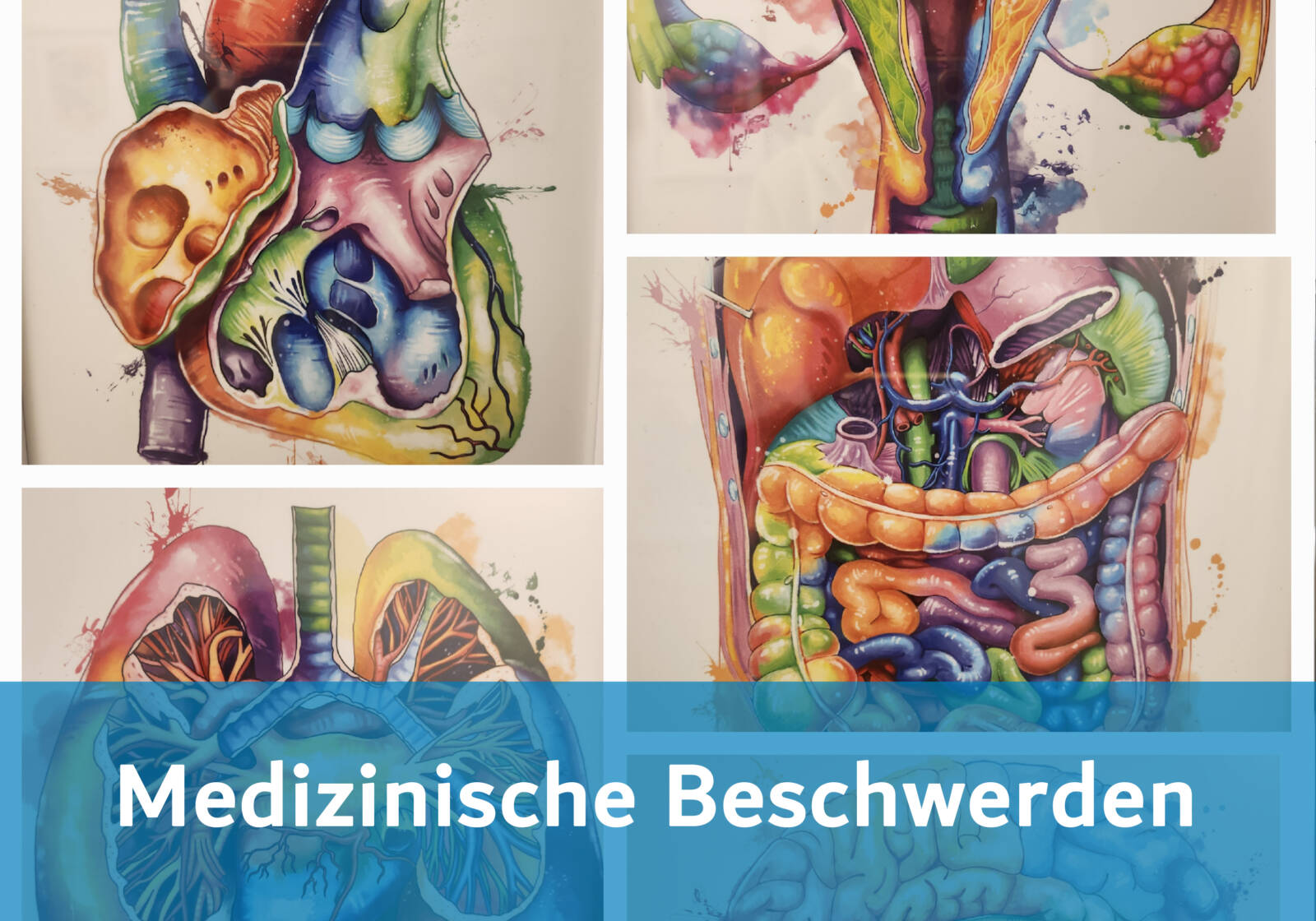 Höhenlufttherapie: die IHHT-Therapie "Leistungsfähige Zellen dank Sauerstofftherapie"