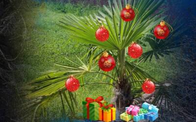 Thera-Torso wünscht: MERRY CHRISTMAS AND A HAPPY NEW YEAR
